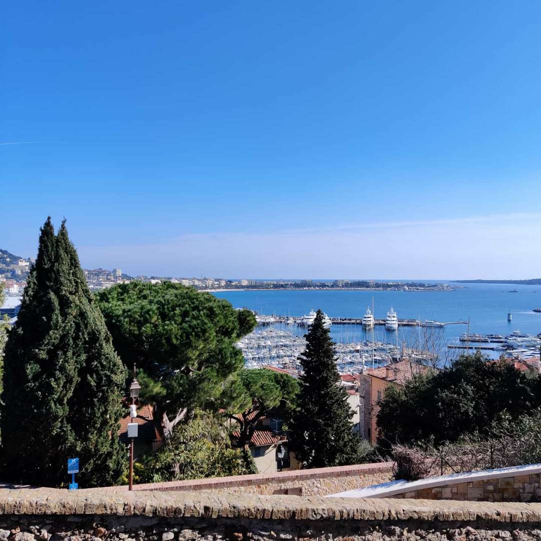 /uploads/2020/02/nice_cannes_1.jpg /uploads/2020/02/nice_cannes_1.jpg
