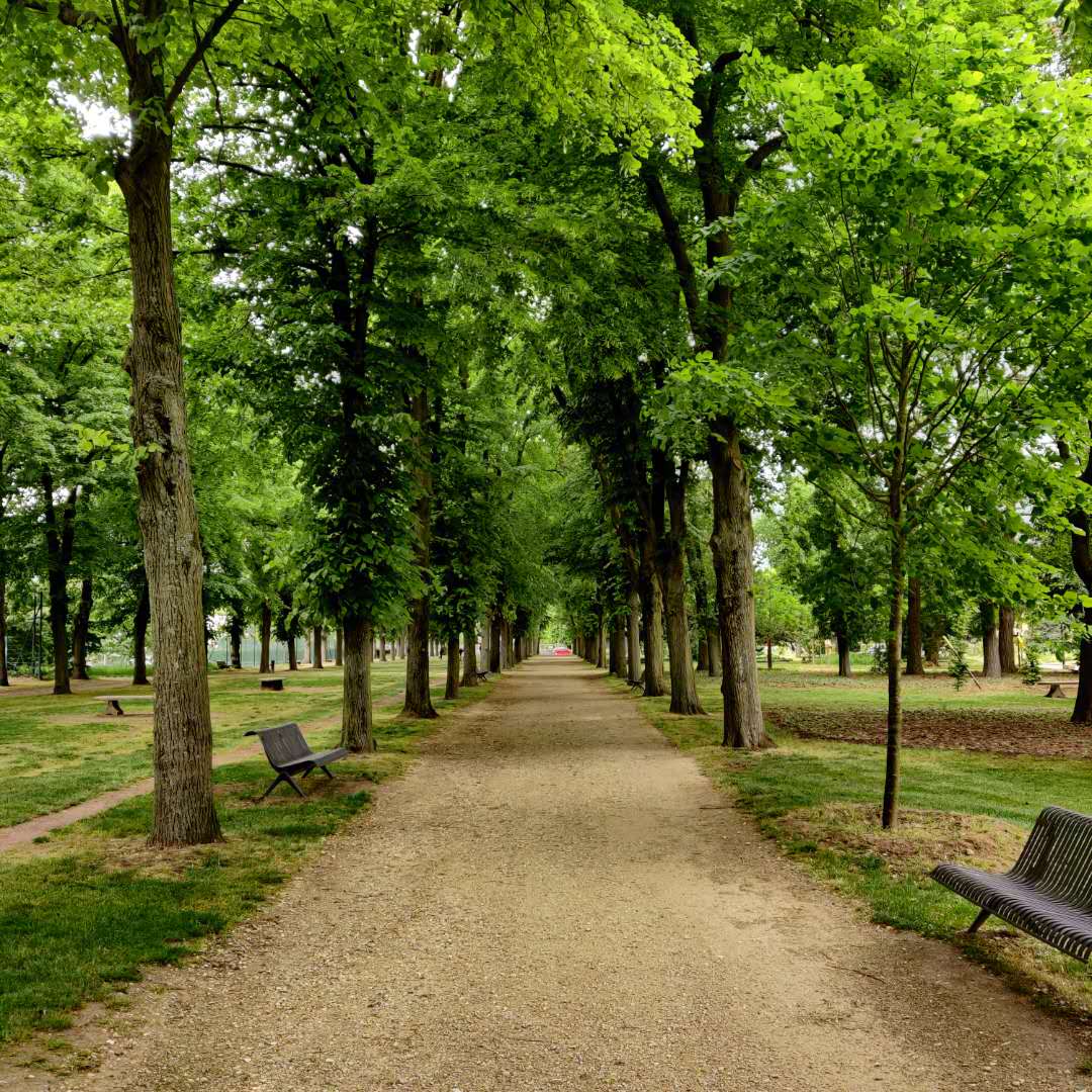 /uploads/2020/03/coronavirus-20200501.jpg /uploads/2020/03/coronavirus-20200501.jpg