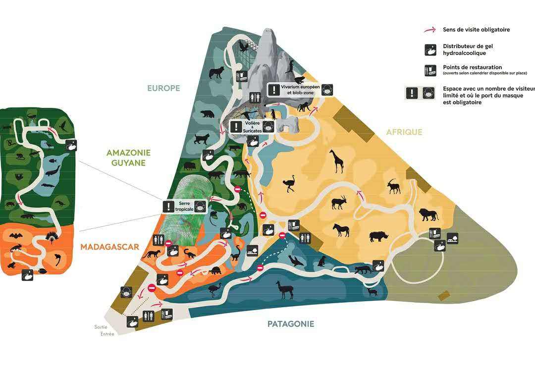 /uploads/2020/06/20200628-zoo_paris-00.jpg /uploads/2020/06/20200628-zoo_paris-00.jpg