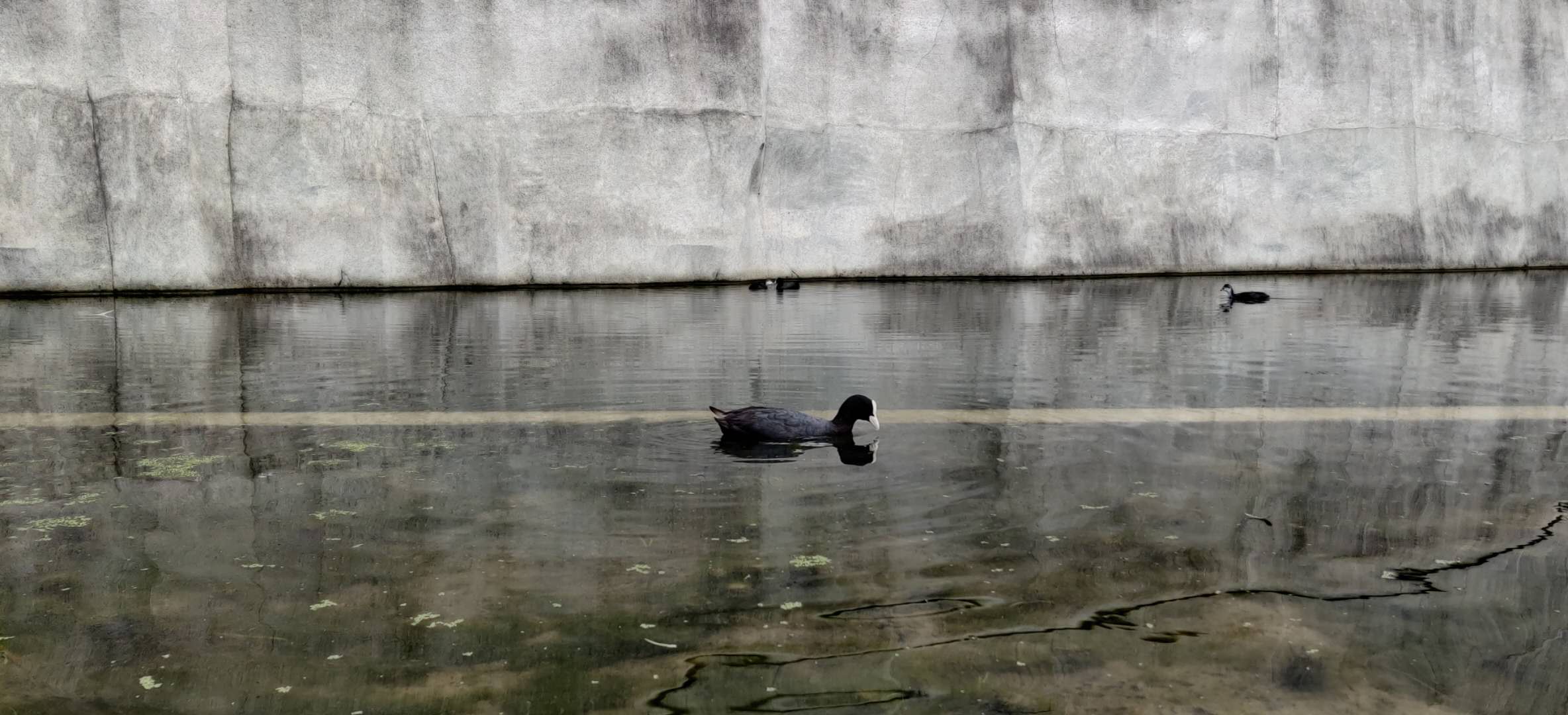 /uploads/2020/06/20200628-zoo_paris-01.jpg /uploads/2020/06/20200628-zoo_paris-01.jpg