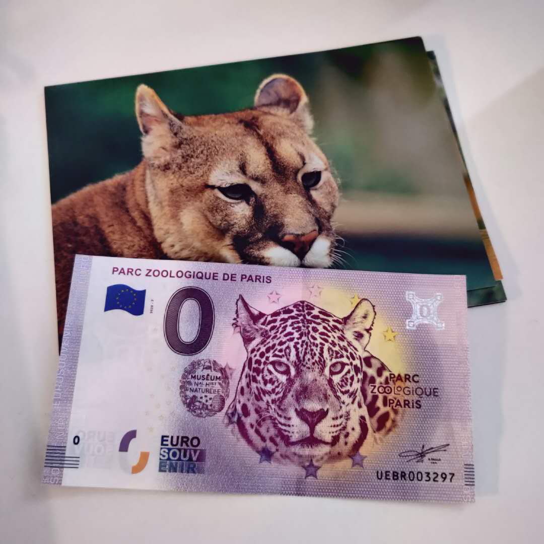 /uploads/2020/06/20200628-zoo_paris-05.jpg /uploads/2020/06/20200628-zoo_paris-05.jpg