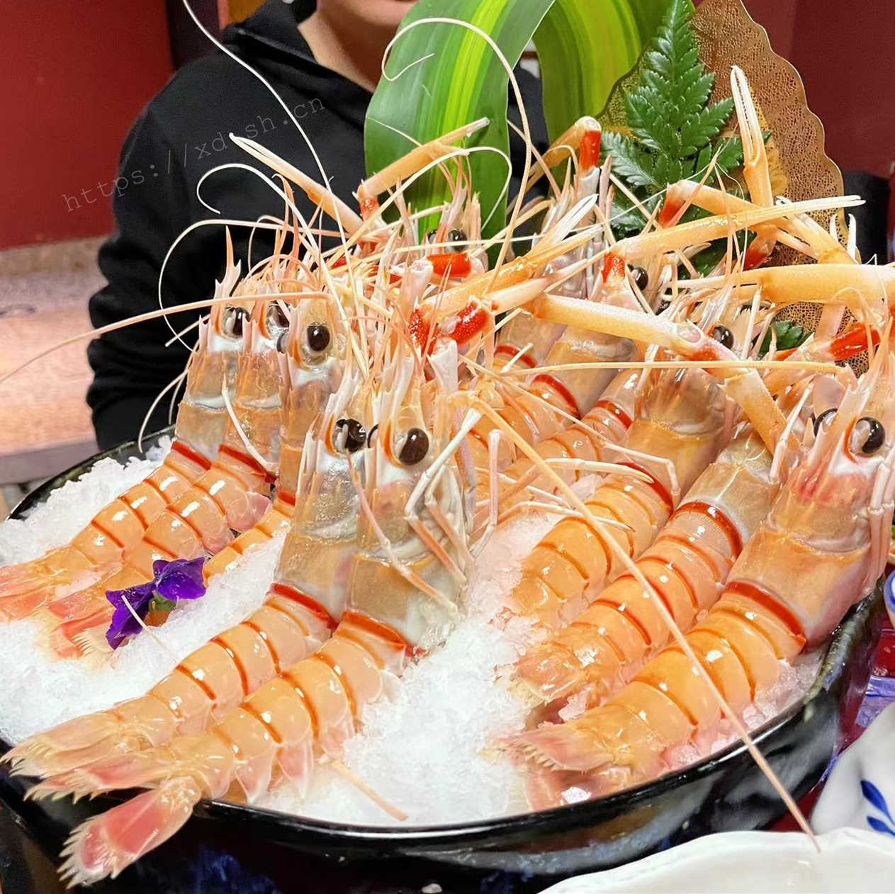 和下个月、下下个月、下下下个月的伙食形成鲜明对比 2022.2.13 ©xd.sh.cn