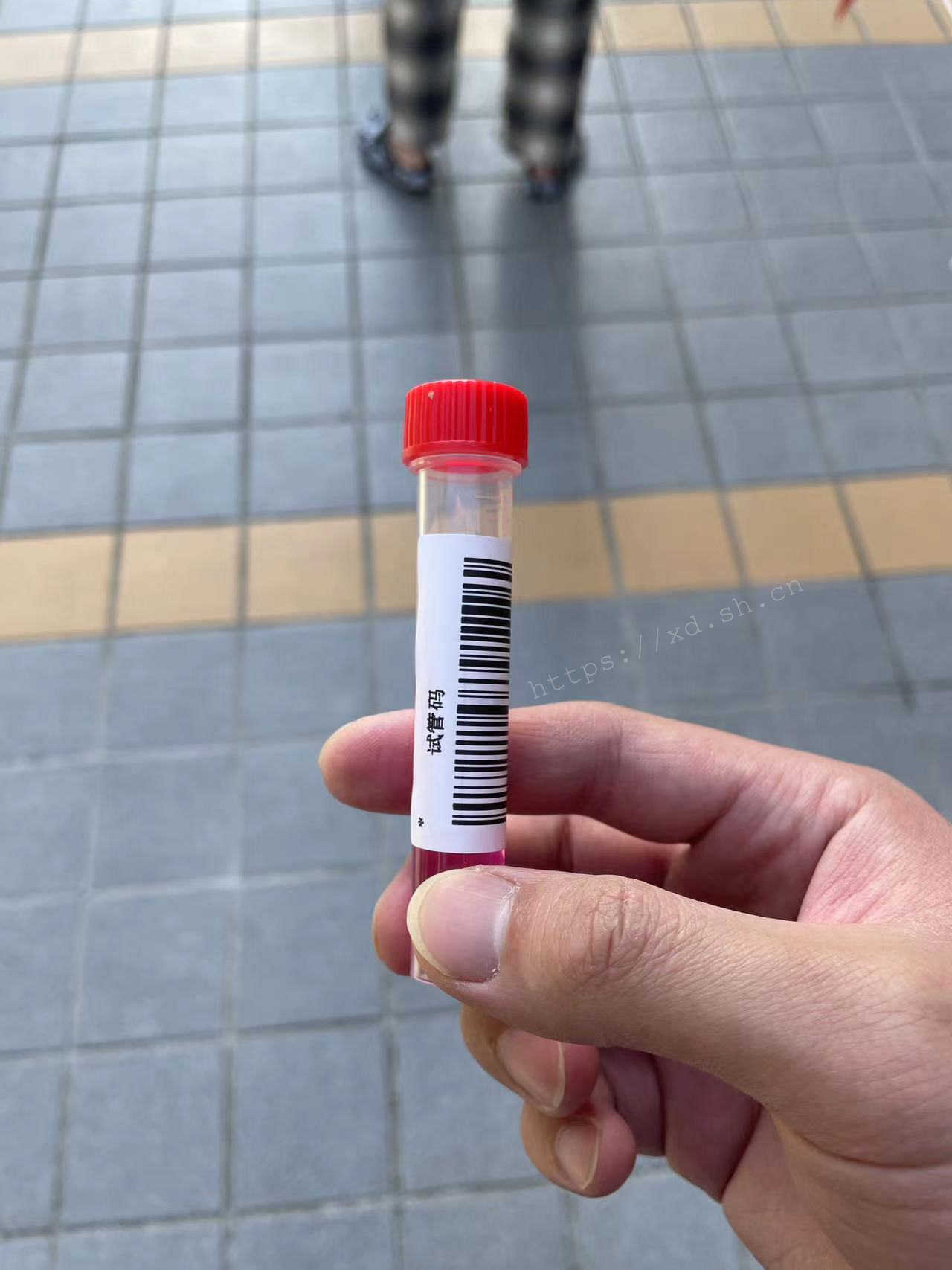 “管长” 2022.4.9 ©xd.sh.cn