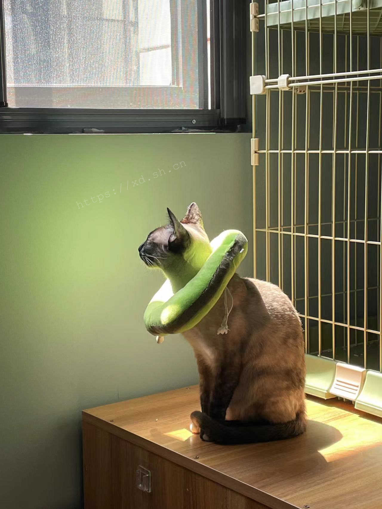 没用的,大家都一样。2022.5.14 ©xd.sh.cn