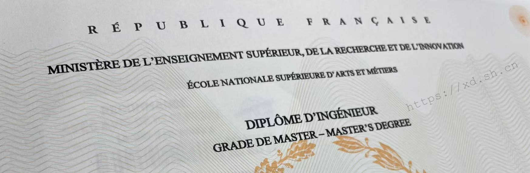 法国人效率“很高”。2022.6.23 ©xd.sh.cn